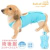 術後服エリザベスウエア(R)(男の子/ダックス・小型犬用)