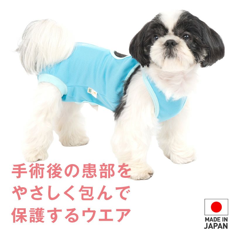 術後服エリザベスウエア(R)(男の子/ダックス・小型犬用)