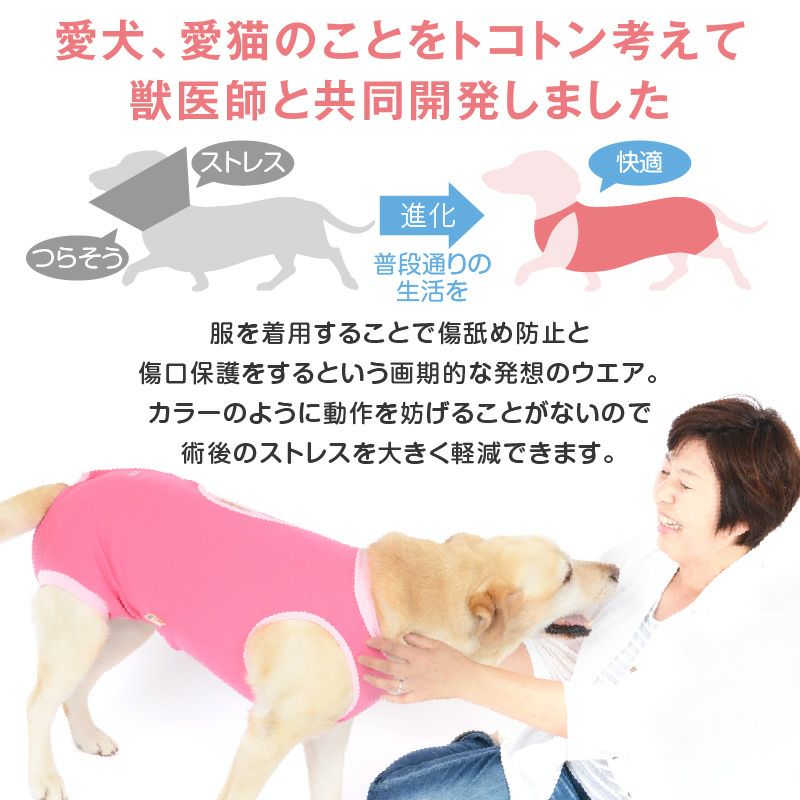 術後服エリザベスウエア(R)(男の子/ダックス・小型犬用)