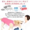 術後服エリザベスウエア(R)(男の子/ダックス・小型犬用)