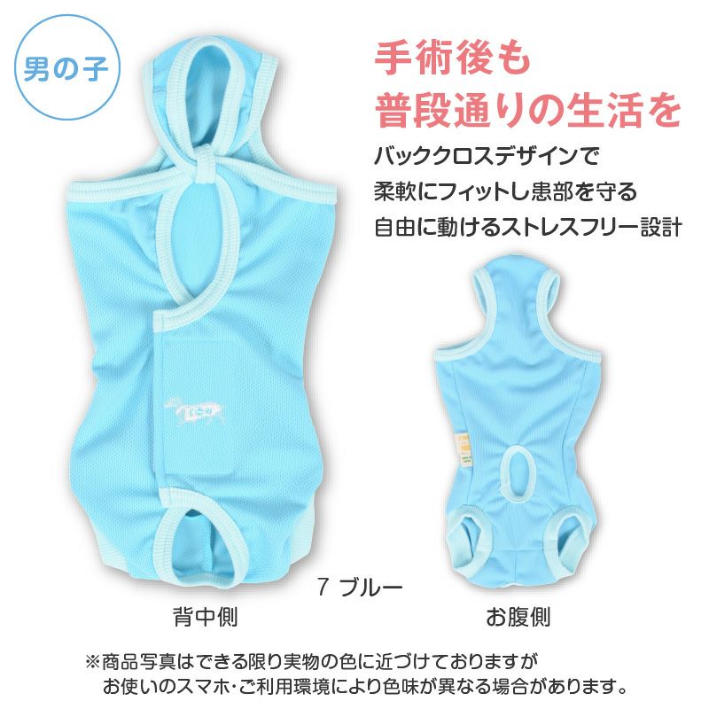 術後服エリザベスウエア(R)(男の子/ダックス・小型犬用)