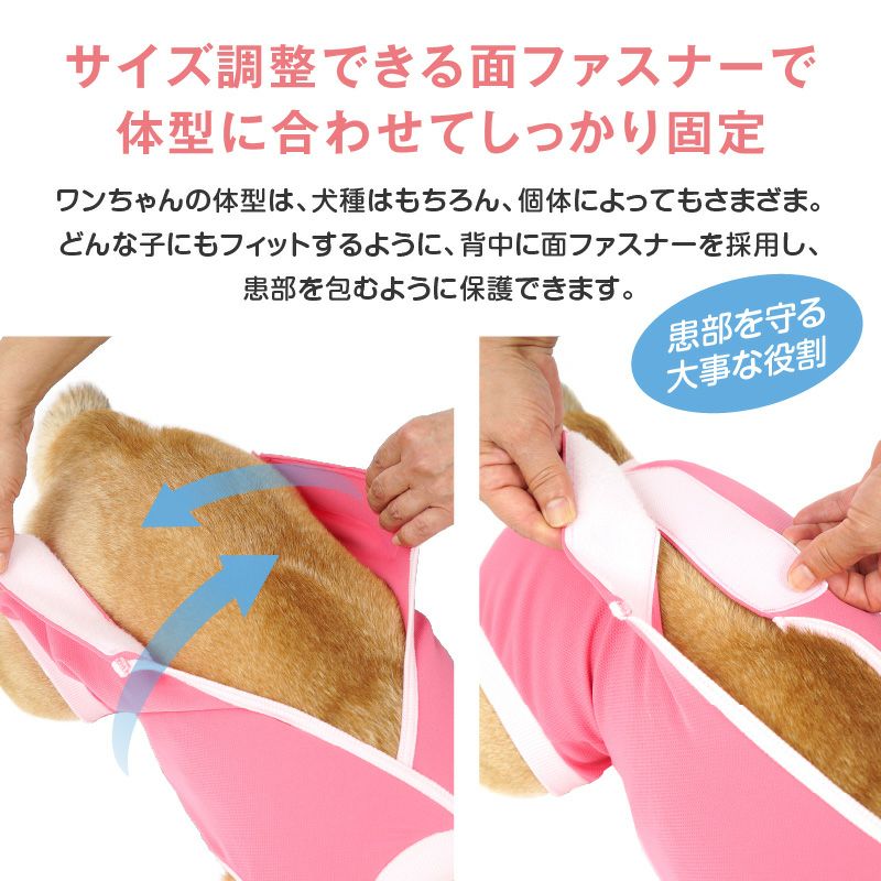 術後服エリザベスウエア(R)(男の子/ダックス・小型犬用)