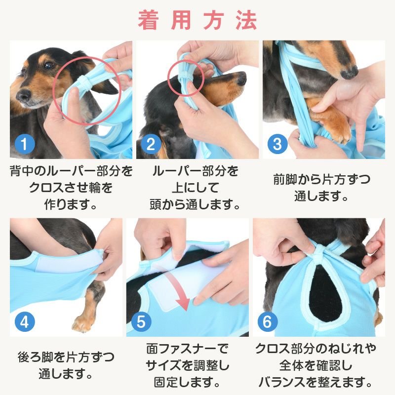 術後服エリザベスウエア(R)(男の子/ダックス・小型犬用)