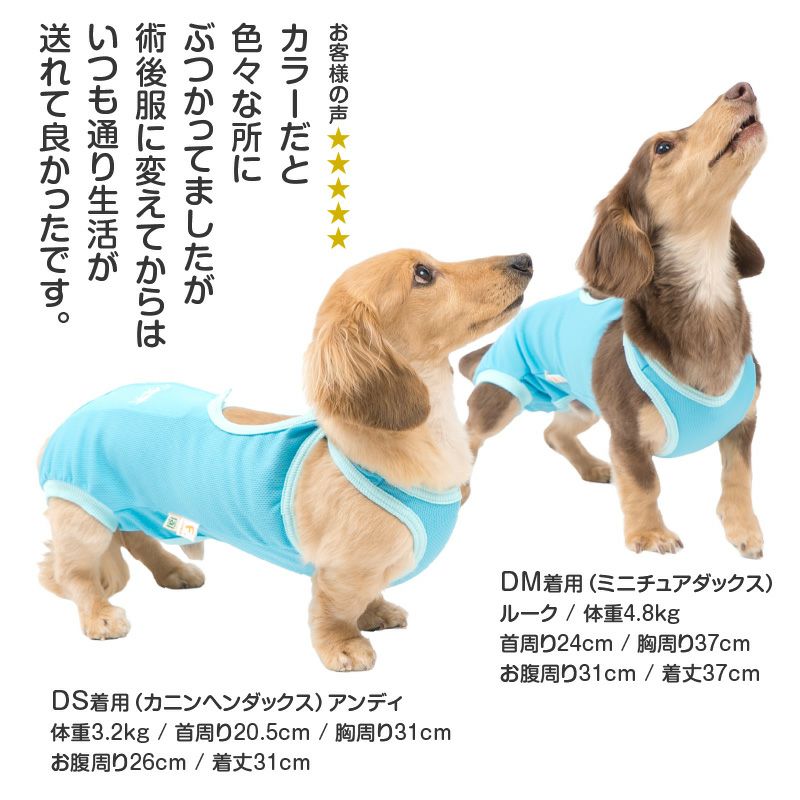 術後服エリザベスウエア(R)(男の子/ダックス・小型犬用)