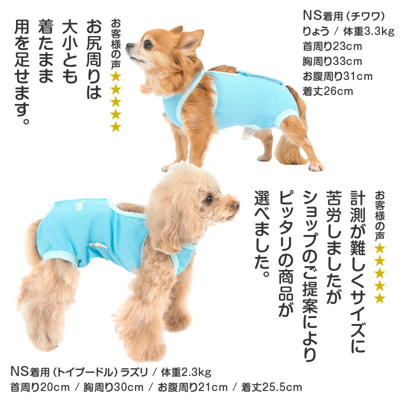 術後服エリザベスウエア(R)(男の子/ダックス・小型犬用)