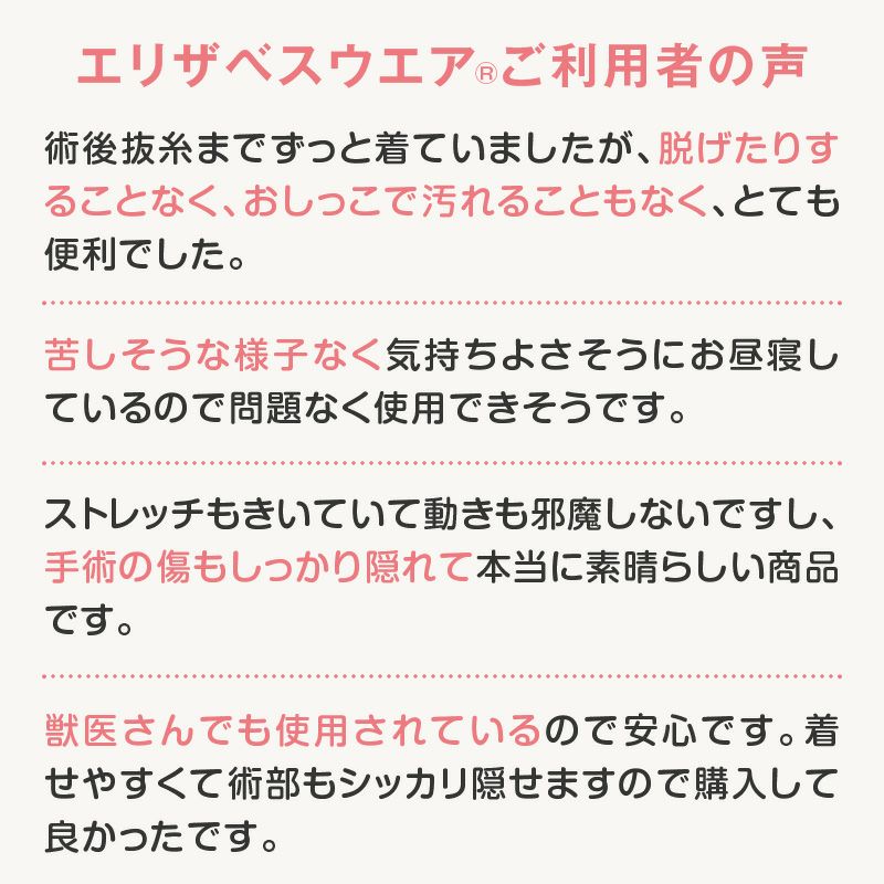 術後服エリザベスウエア(R)(男の子/ダックス・小型犬用)