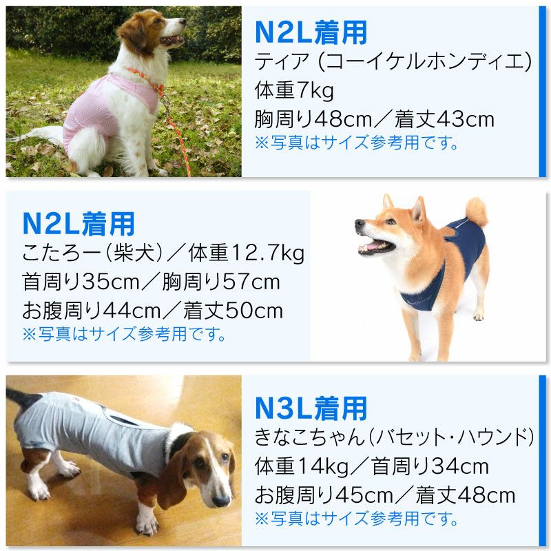 商品画像12