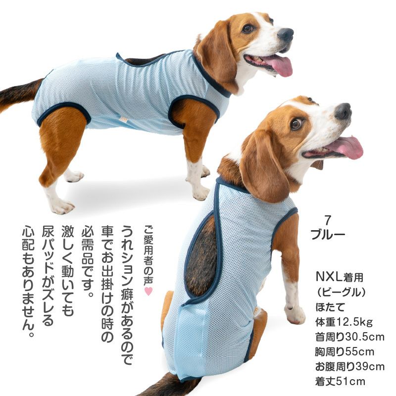 メッシュバッククロスマナーガード(R)(マナー＆サニタリーパンツ兼用)