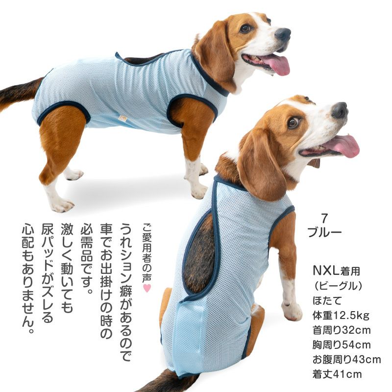 メッシュバッククロスマナーガード(R)(マナー＆サニタリーパンツ兼用)