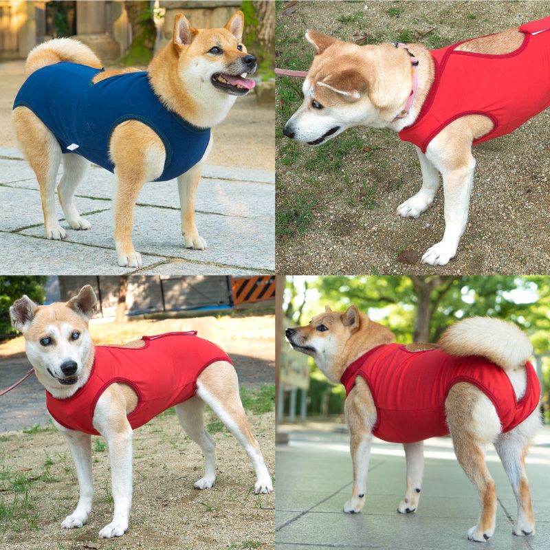 商品画像4