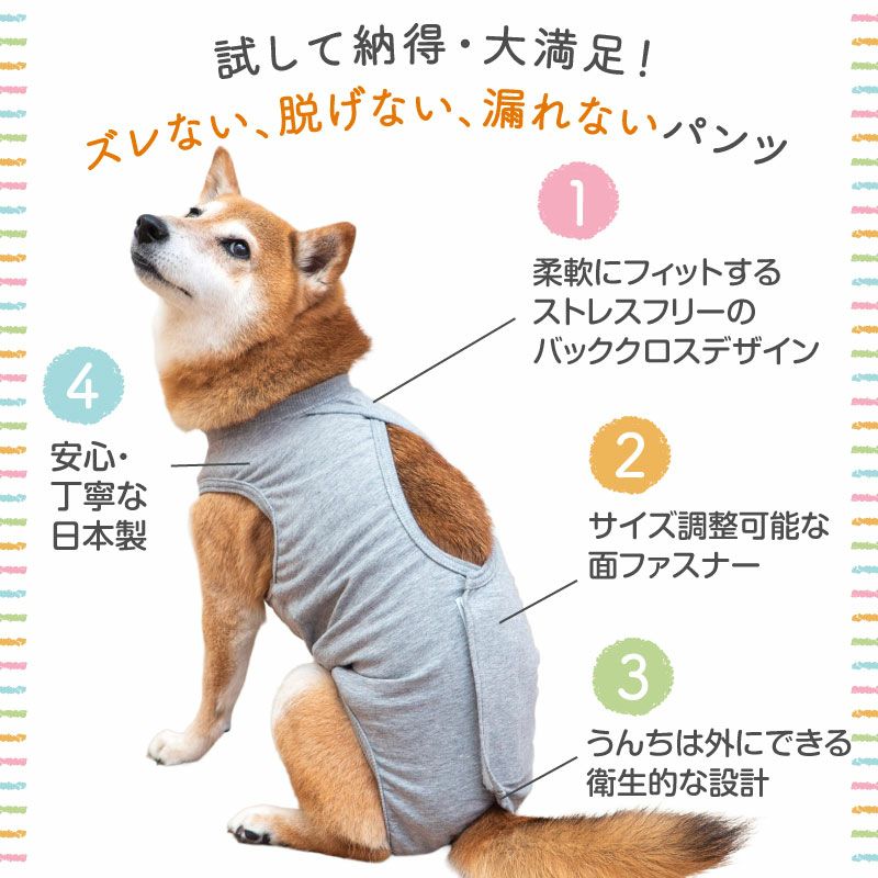 ベア天バッククロスマナーガード(R)(男女兼用／中型犬用)