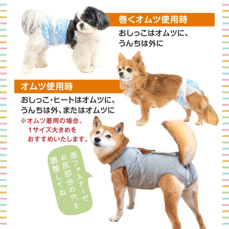 ベア天バッククロスマナーガード(R)(男女兼用／中型犬用)