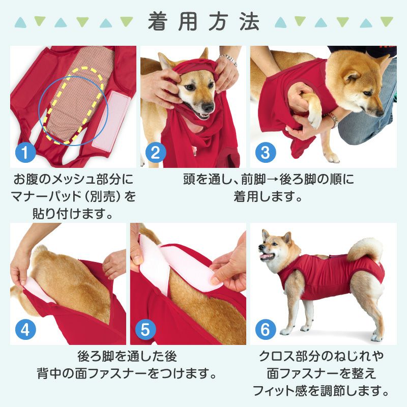 ベア天バッククロスマナーガード(R)(男女兼用／中型犬用)