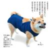 ベア天バッククロスマナーガード(R)(男女兼用／中型犬用)