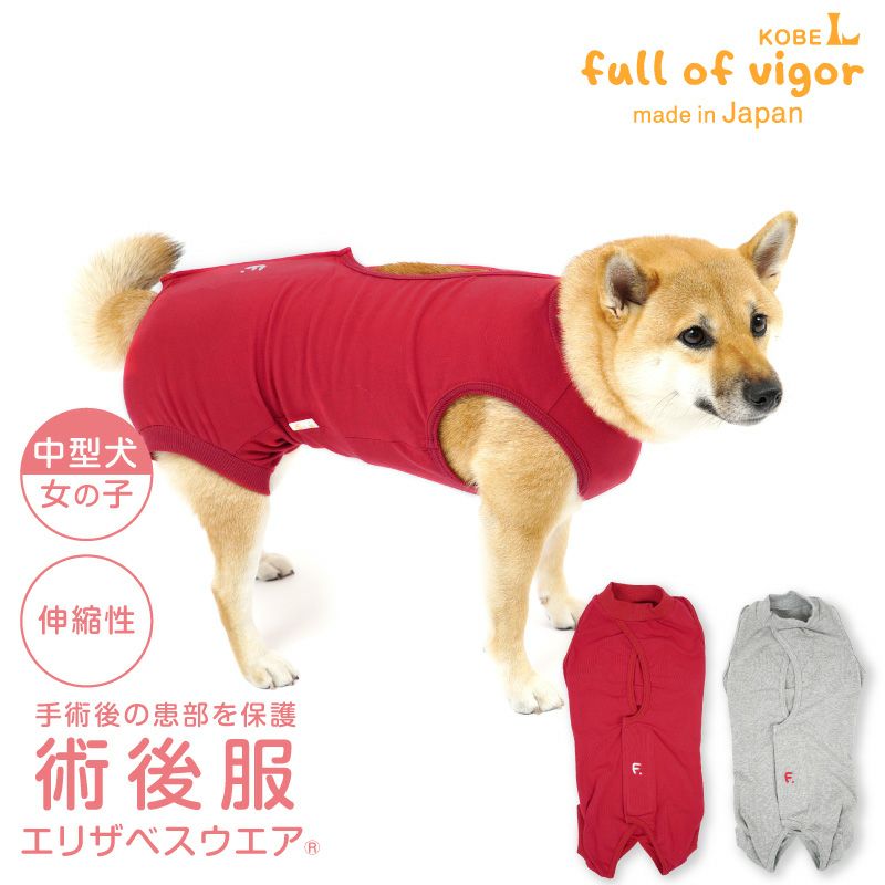 F 術後服エリザベスウエア R 女の子 中型犬用 伸縮性素材 ネコポス値3 犬猫の服の通販フルオブビガー本店