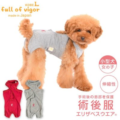 伸びて 着せやすい F. ベア天竺 術後服 エリザベスウエア(R) 女の子