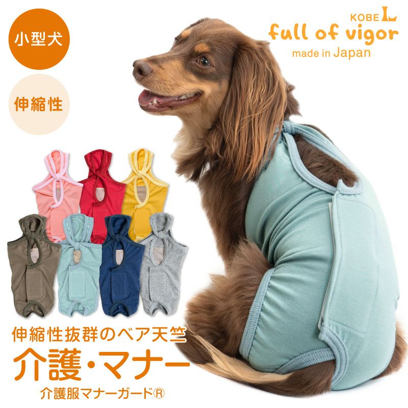 サニタリーパンツ XS ホワイト マナーパンツ ペット 新品 送料込 犬服