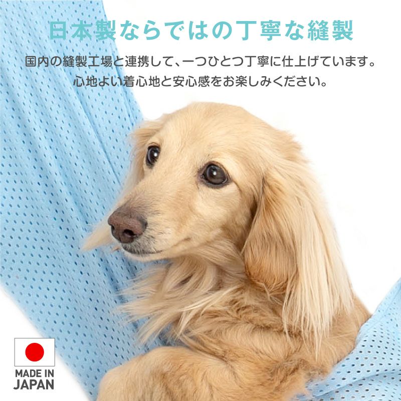 体験メッシュフタなし抱っこだワン(ドッグスリング/ダックス・小型犬・猫用)