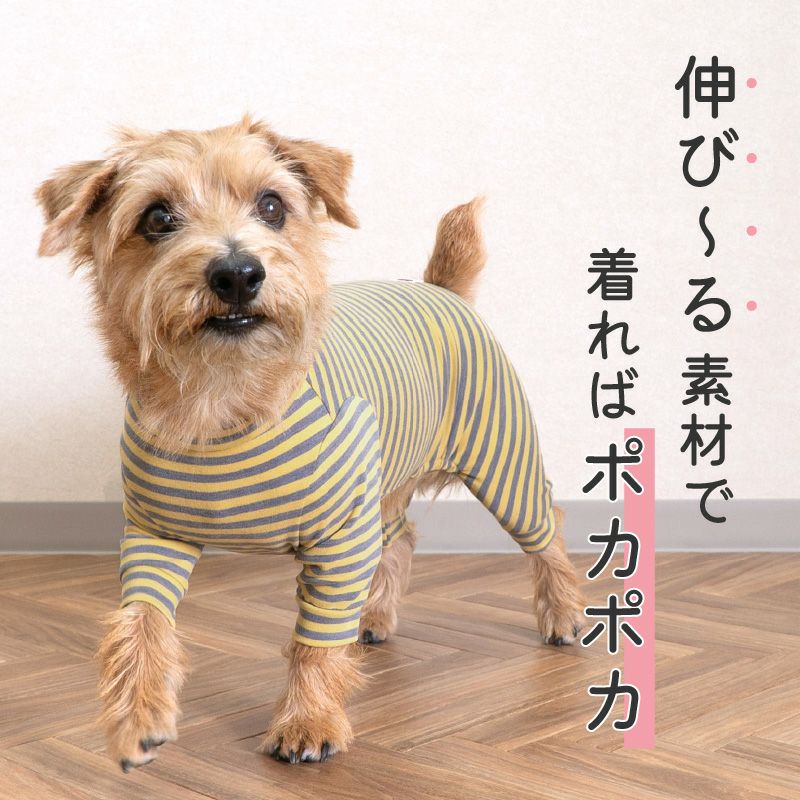 ウォームボーダーお部屋着(ダックス・小型犬用)