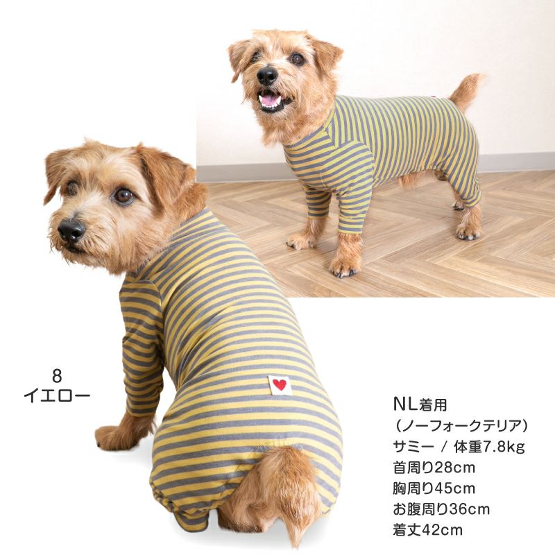 ウォームボーダーお部屋着(ダックス・小型犬用)