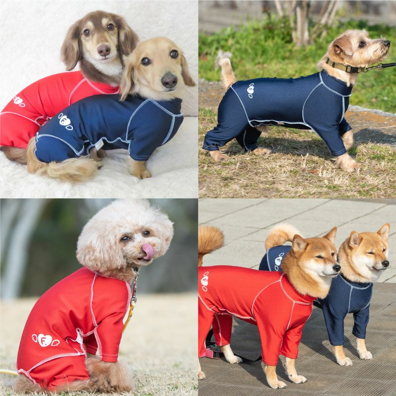 抗菌・防臭機能付き皮膚保護服スキンウエア(R)(男女兼用/ダックス・小型犬用/抗菌・防臭素材)
