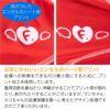 抗菌・防臭機能付き皮膚保護服スキンウエア(R)(男女兼用/ダックス・小型犬用/抗菌・防臭素材)