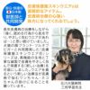 抗菌・防臭機能付き皮膚保護服スキンウエア(R)(男女兼用/ダックス・小型犬用/抗菌・防臭素材)
