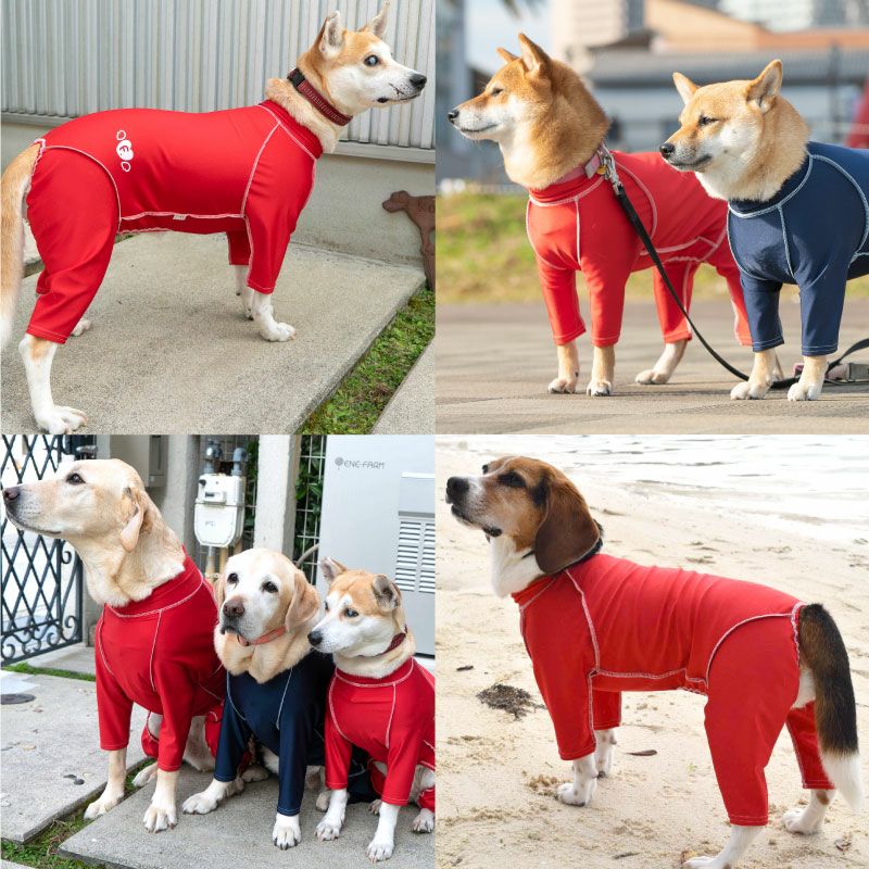 抗菌・防臭機能付き皮膚保護服スキンウエア(R)(男女兼用/中型犬用/抗菌・防臭素材)