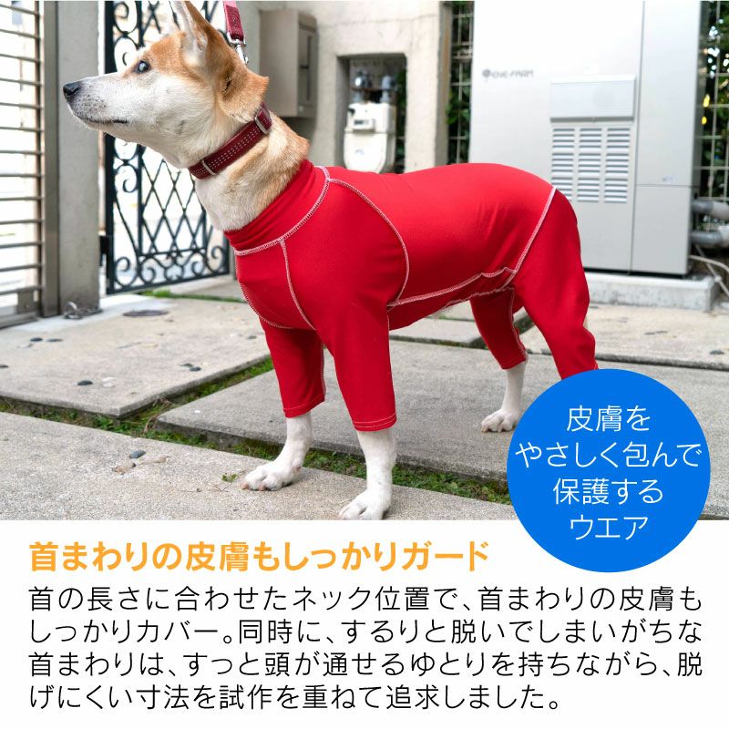 抗菌・防臭機能付き皮膚保護服スキンウエア(R)(男女兼用/中型犬用/抗菌・防臭素材)