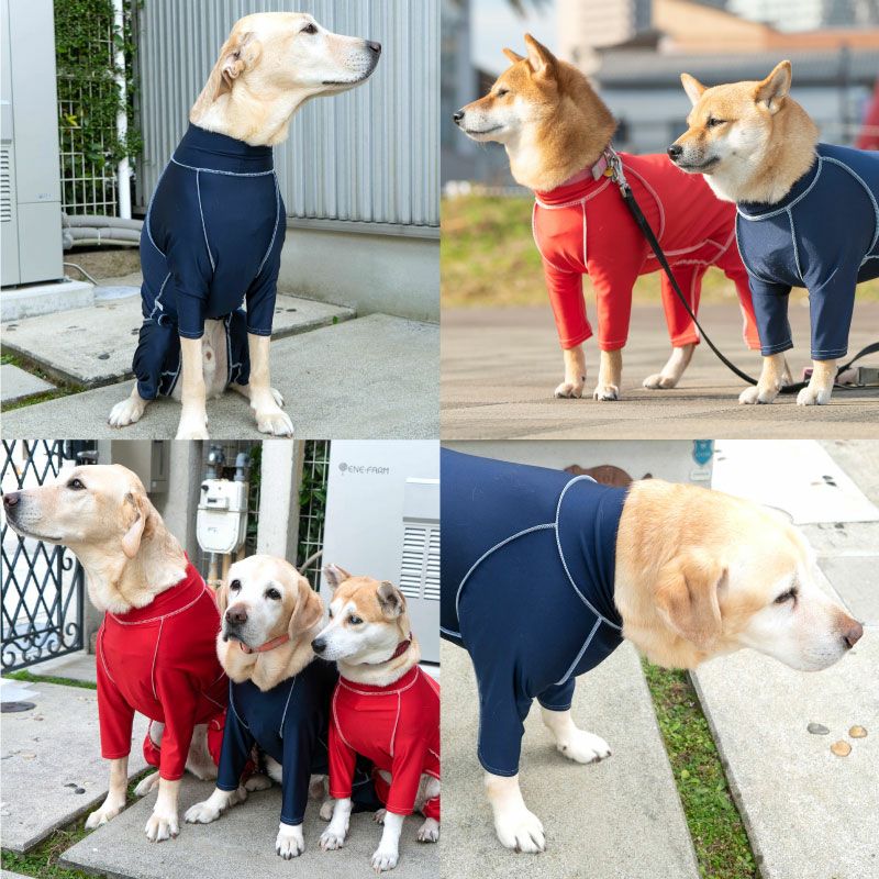 抗菌・防臭機能付き皮膚保護服スキンウエア(R)(男女兼用/大型犬用/抗菌・防臭素材)