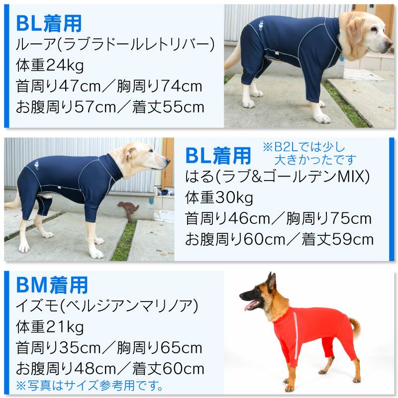 抗菌・防臭機能付き皮膚保護服スキンウエア(R)(男女兼用/大型犬用/抗菌・防臭素材)