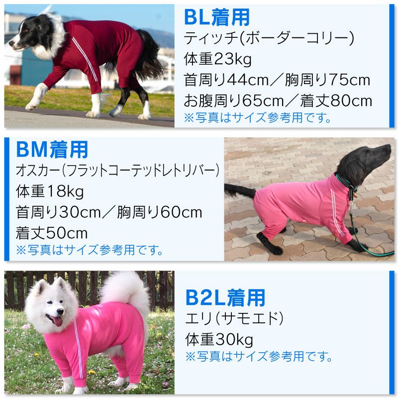 抗菌・防臭機能付き皮膚保護服スキンウエア(R)(男女兼用/大型犬用/抗菌・防臭素材)