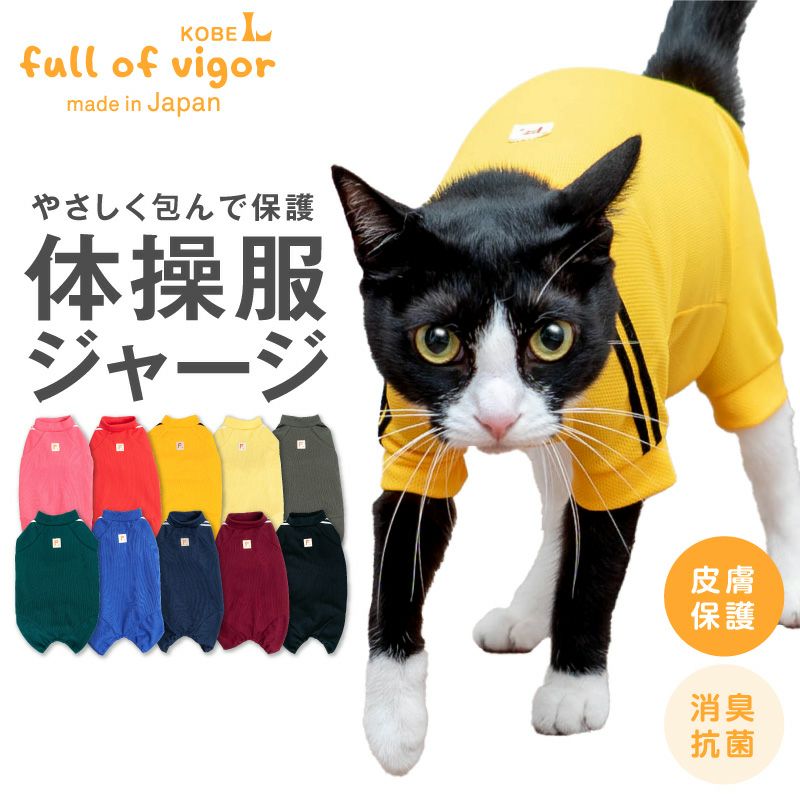 猫体操服ジャージ