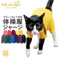 猫体操服ジャージ