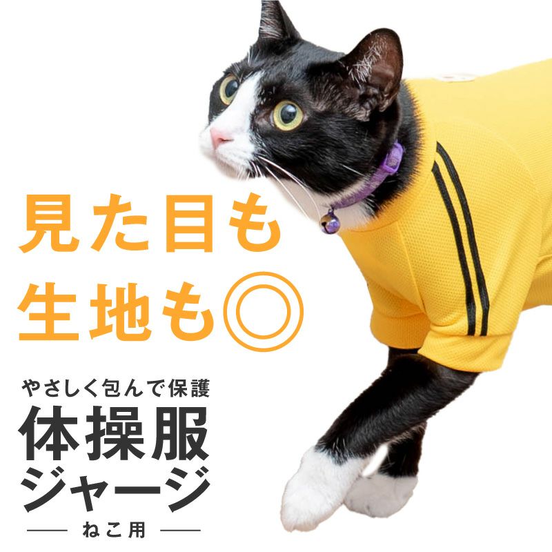 猫用体操服ジャージつなぎ | 犬猫の服の通販フルオブビガー本店