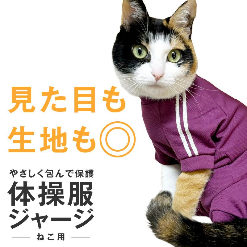 猫用体操服ジャージつなぎ