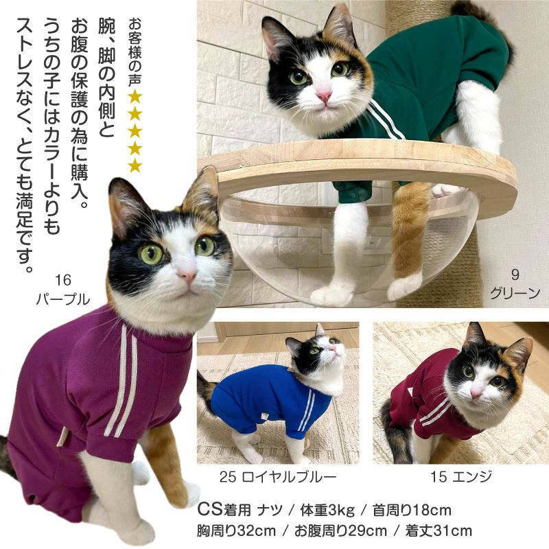 猫体操服ジャージ