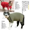 猫体操服ジャージ