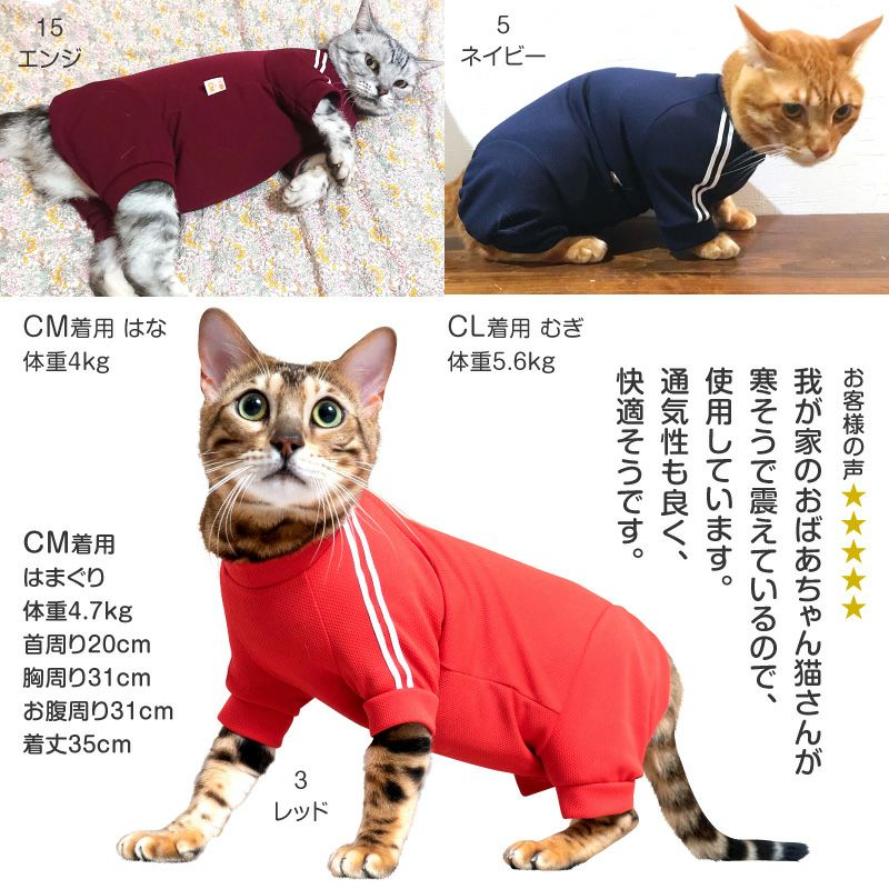 猫体操服ジャージ