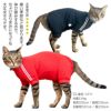 猫体操服ジャージ