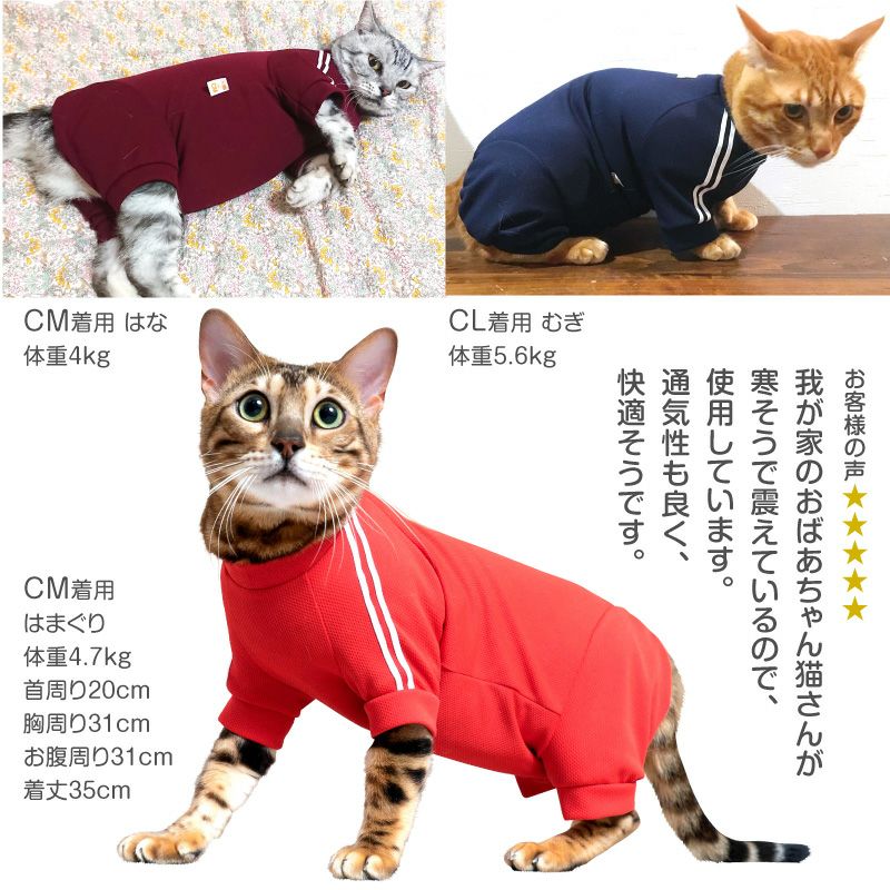 猫体操服ジャージ