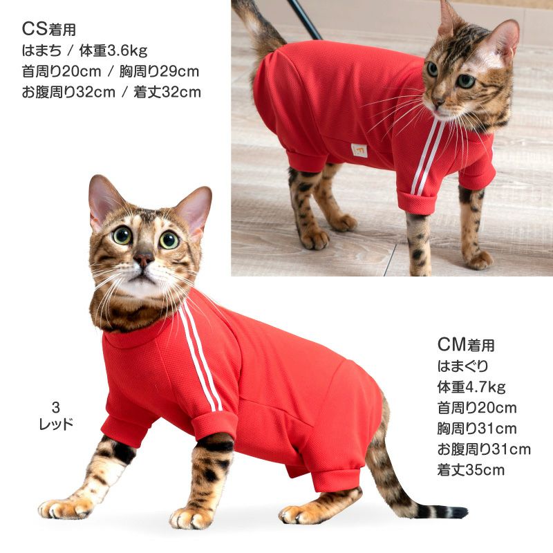 猫用体操服ジャージつなぎ