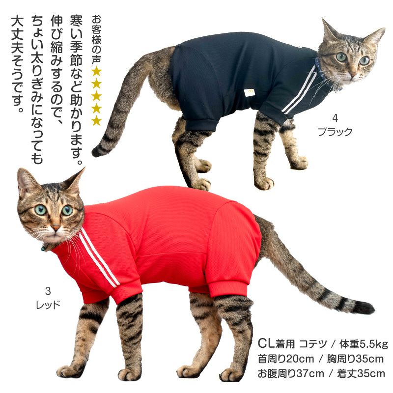 猫体操服ジャージ