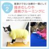 猫体操服ジャージ