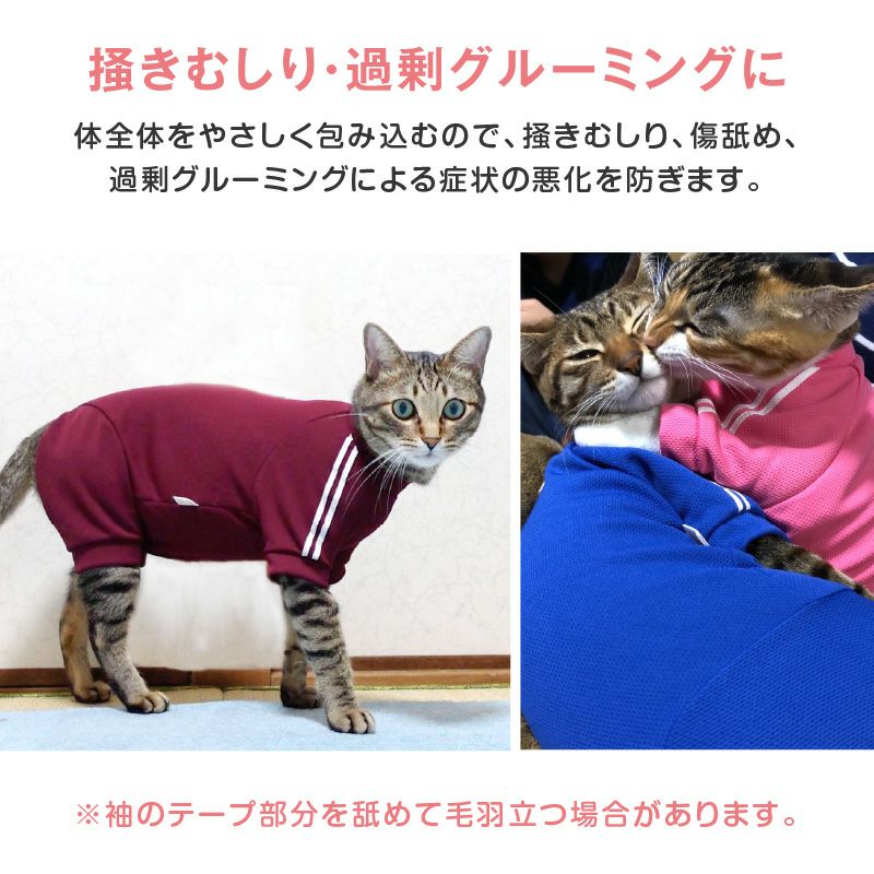 猫用体操服ジャージつなぎ