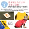 猫体操服ジャージ