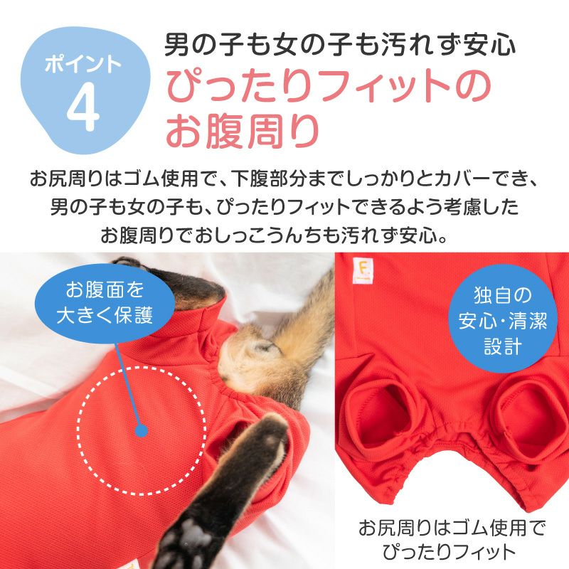 猫体操服ジャージ