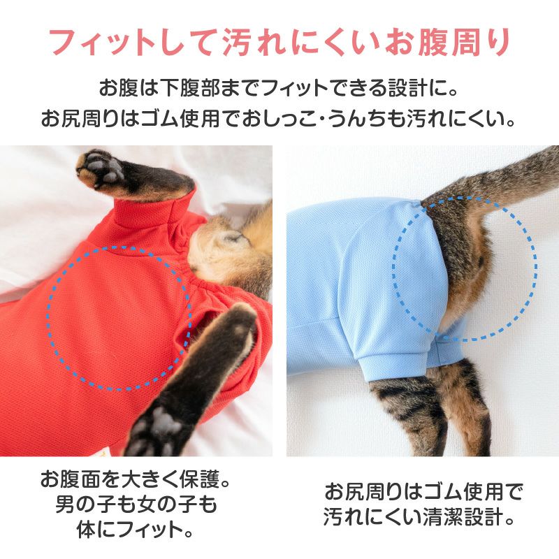 猫用体操服ジャージつなぎ