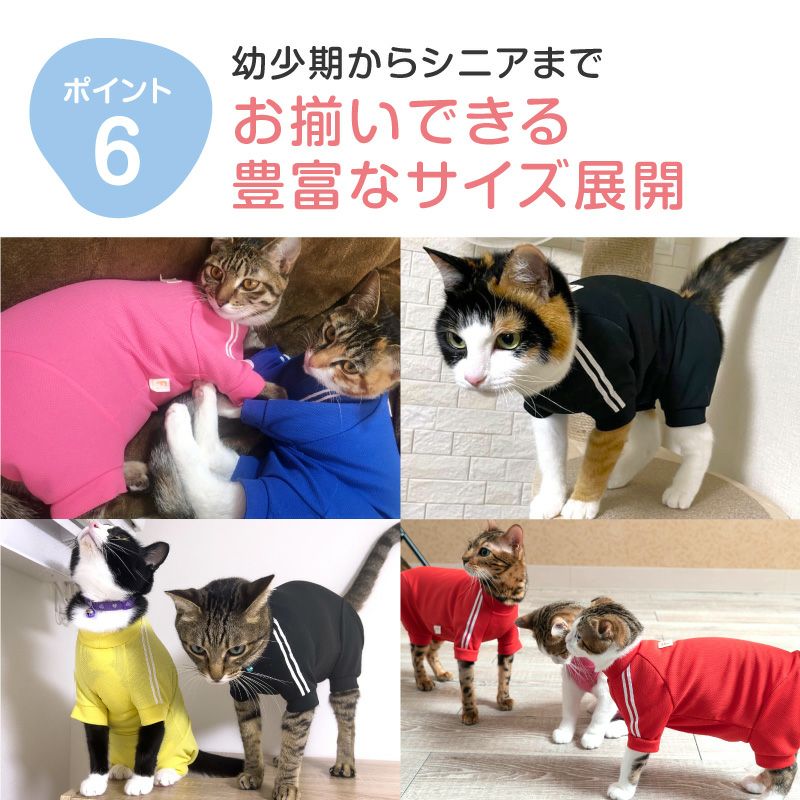 猫体操服ジャージ