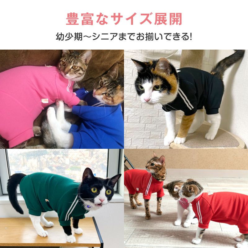 猫用体操服ジャージつなぎ